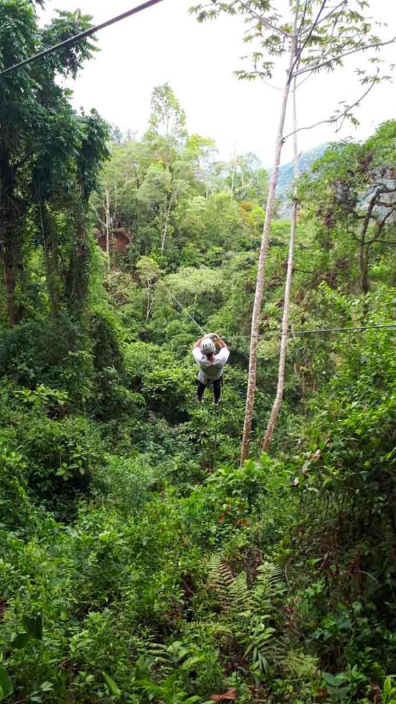 Arbre-en-arbre, une activité prisée au Costa-Rica