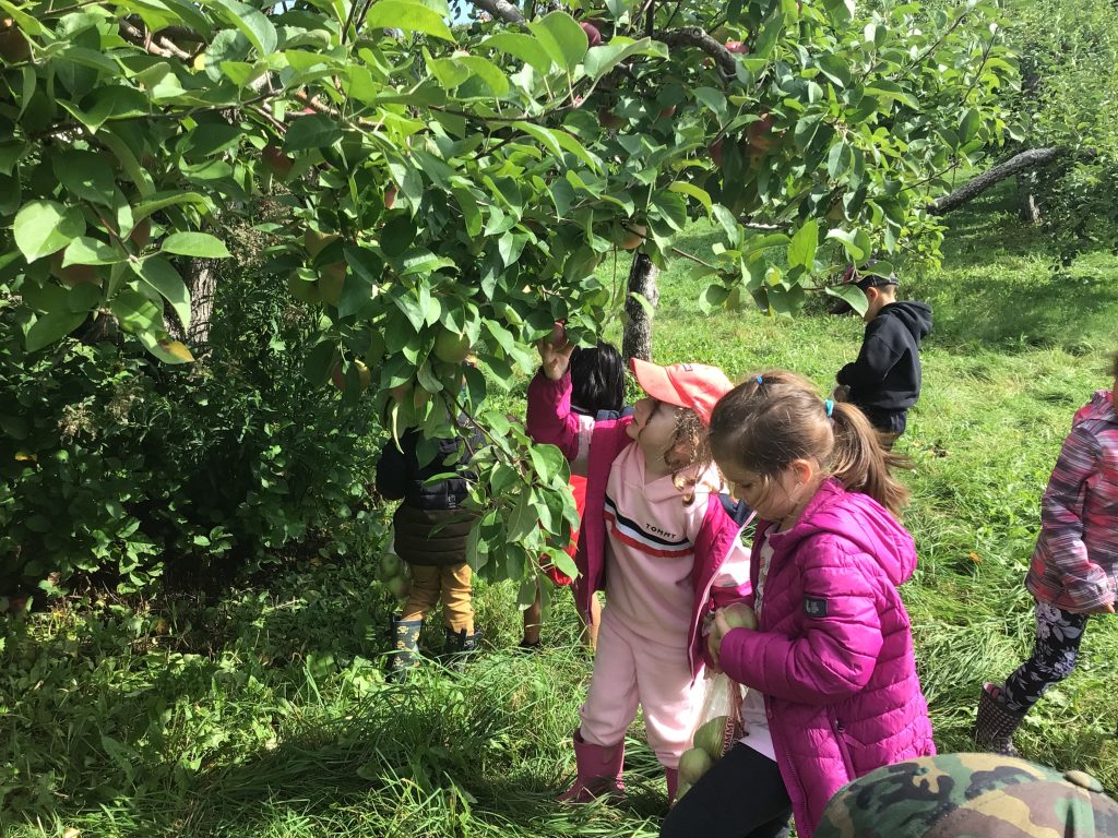 Sortie aux pommes pour les maternelles à l'école La Francolière