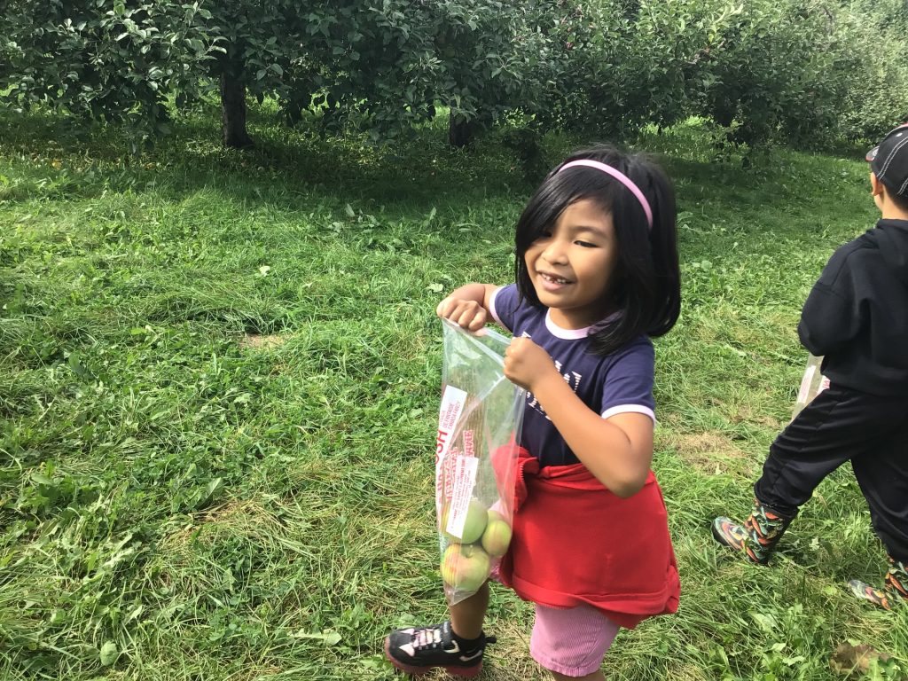 Sortie aux pommes pour les maternelles à l'école La Francolière