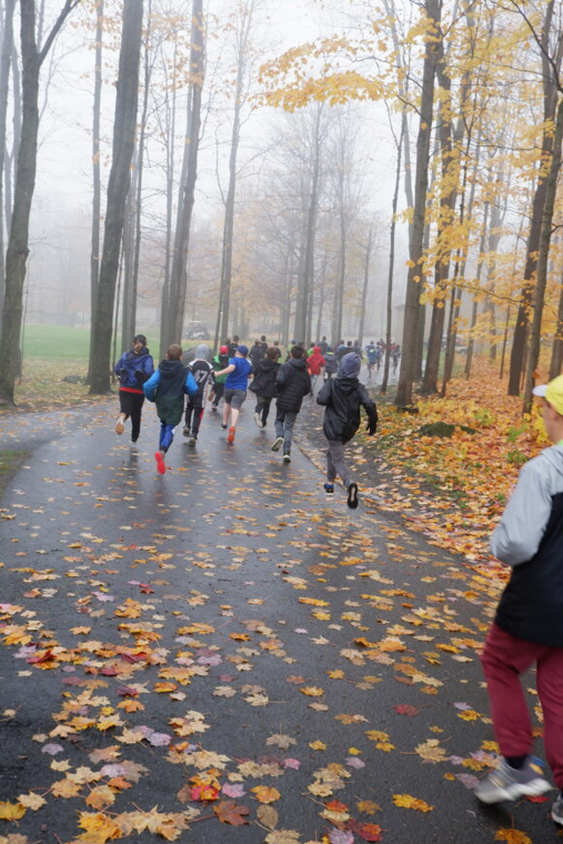 Cross-country au Club de golf Montmagny